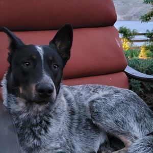 Meet your Posher, Maggie